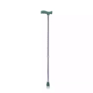 Walking Stick